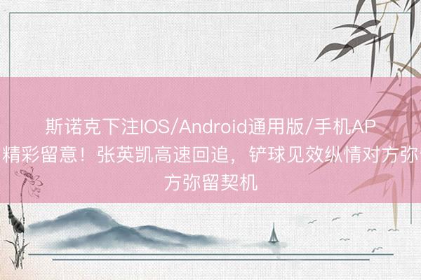 斯诺克下注IOS/Android通用版/手机APP下载 精彩留意！张英凯高速回追，铲球见效纵情对方弥留契机