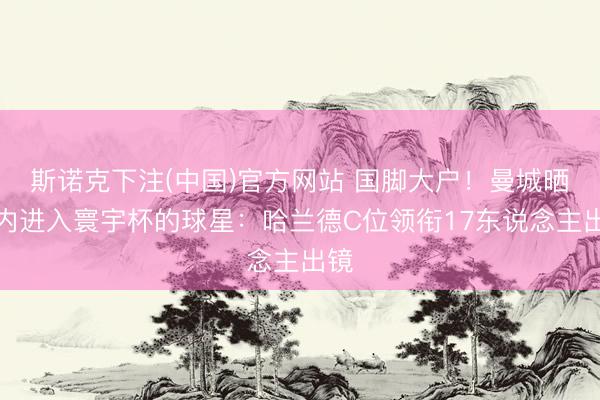 斯诺克下注(中国)官方网站 国脚大户！曼城晒队内进入寰宇杯的球星：哈兰德C位领衔17东说念主出镜