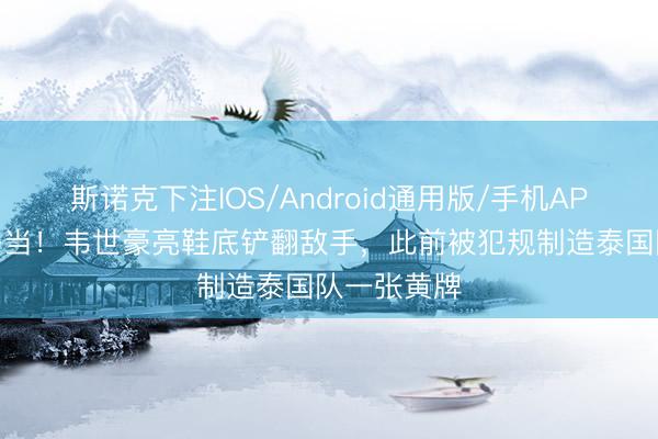 斯诺克下注IOS/Android通用版/手机APP下载 要妥当！韦世豪亮鞋底铲翻敌手，此前被犯规制造泰国队一张黄牌