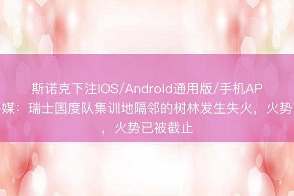 斯诺克下注IOS/Android通用版/手机APP下载 外媒：瑞士国度队集训地隔邻的树林发生失火，火势已被截止