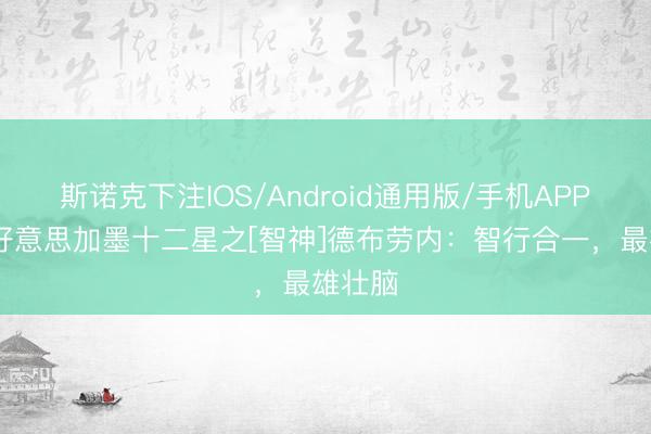 斯诺克下注IOS/Android通用版/手机APP下载 好意思加墨十二星之[智神]德布劳内：智行合一，最雄壮脑