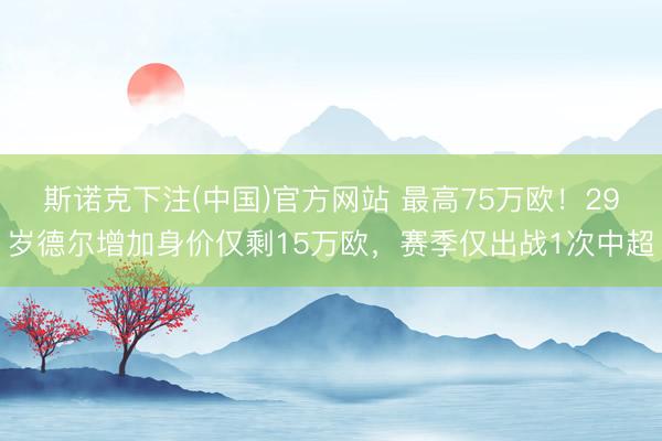 斯诺克下注(中国)官方网站 最高75万欧！29岁德尔增加身价仅剩15万欧，赛季仅出战1次中超