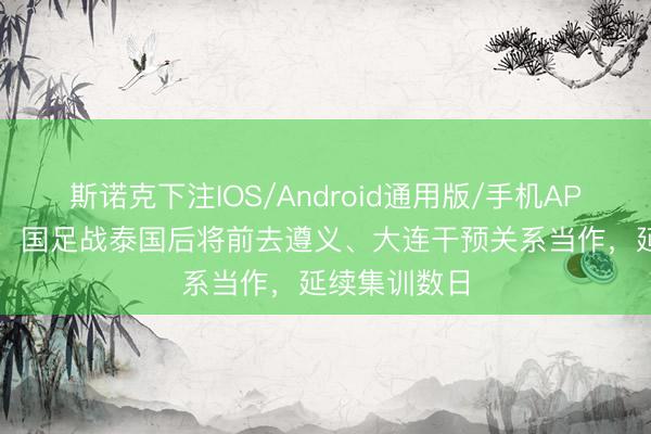 斯诺克下注IOS/Android通用版/手机APP下载 北青：国足战泰国后将前去遵义、大连干预关系当作，延续集训数日