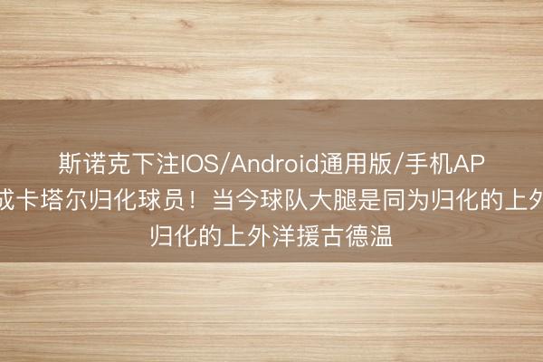 斯诺克下注IOS/Android通用版/手机APP下载 纳恩成卡塔尔归化球员！当今球队大腿是同为归化的上外洋援古德温