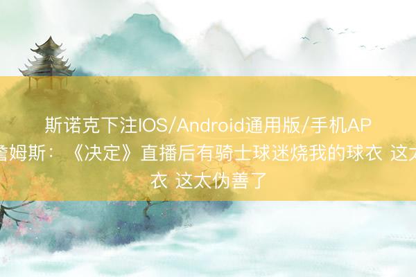 斯诺克下注IOS/Android通用版/手机APP下载 詹姆斯：《决定》直播后有骑士球迷烧我的球衣 这太伪善了