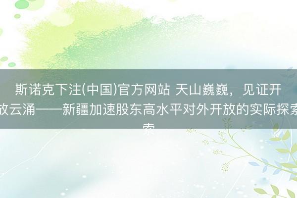 斯诺克下注(中国)官方网站 天山巍巍,见证开放云涌——新疆加速股东高水平对外开放的实际探索