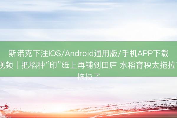 斯诺克下注IOS/Android通用版/手机APP下载 视频｜把稻种“印”纸上再铺到田庐 水稻育秧太拖拉了