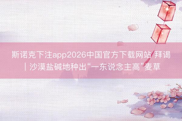 斯诺克下注app2026中国官方下载网站 拜谒｜沙漠盐碱地种出“一东说念主高”麦草