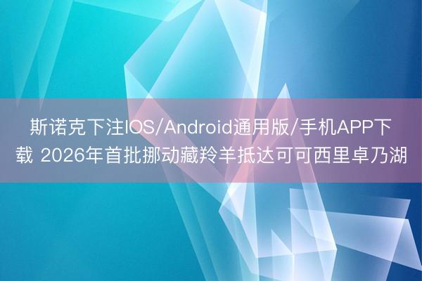 斯诺克下注IOS/Android通用版/手机APP下载 2026年首批挪动藏羚羊抵达可可西里卓乃湖