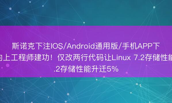 斯诺克下注IOS/Android通用版/手机APP下载 字节向上工程师建功！仅改两行代码让Linux 7.2存储性能升迁5%