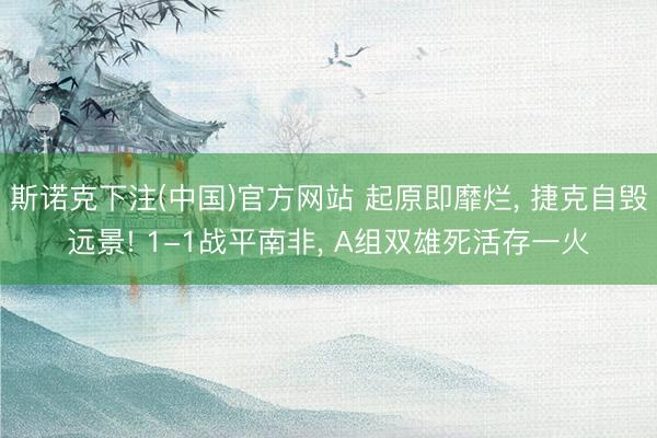 斯诺克下注(中国)官方网站 起原即靡烂, 捷克自毁远景! 1-1战平南非, A组双雄死活存一火